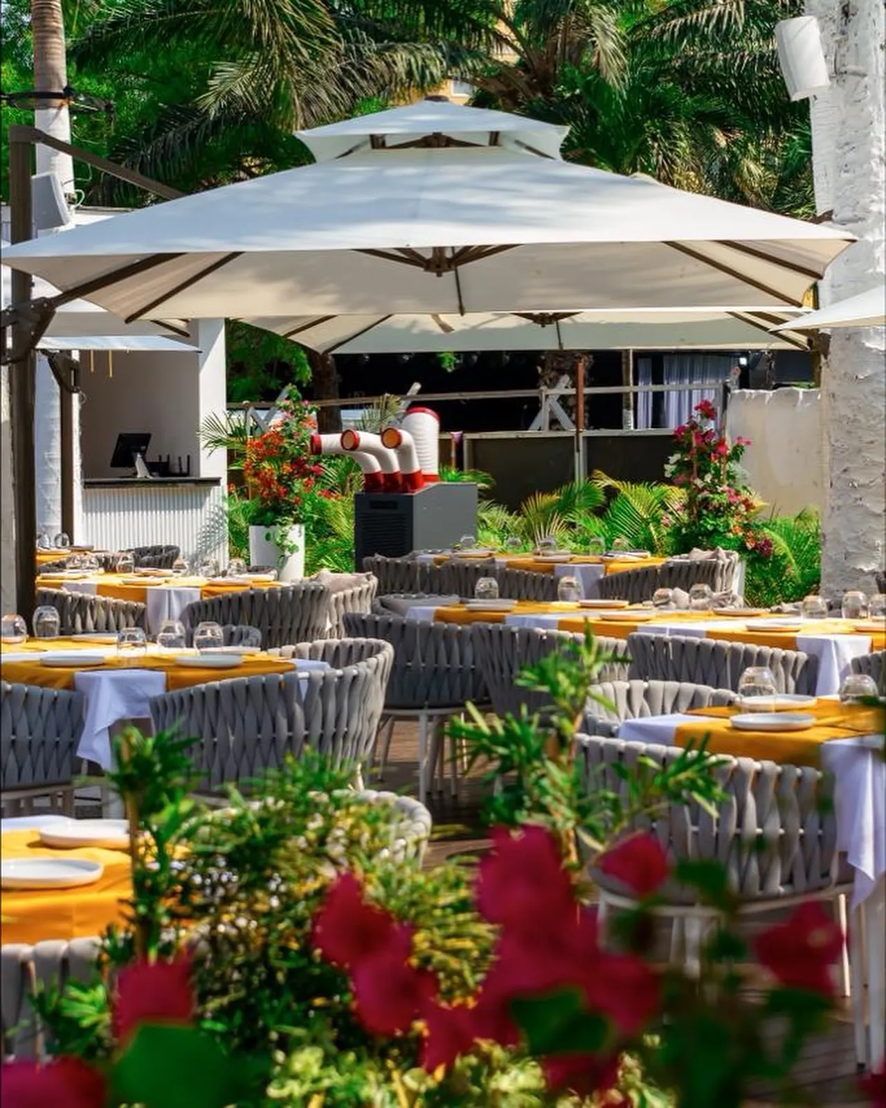 Esplanada do Palace Lounge, com mesas entre palmeiras e flores